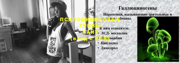 Альфа ПВП Бородино