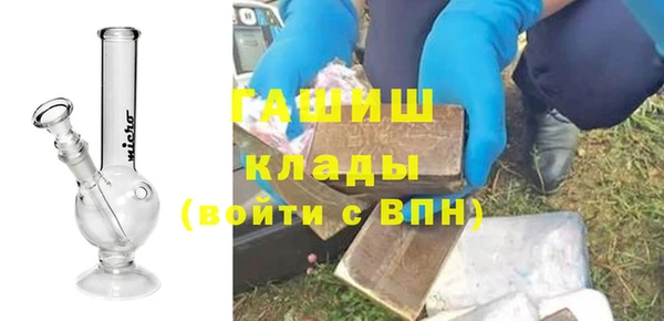 прущие грибы Сосновый Бор