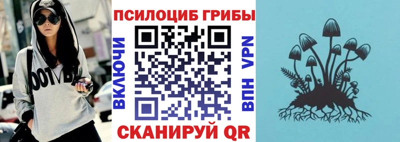 Псилоцибиновые грибы прущие грибы  даркнет наркотические препараты  Славянск-на-Кубани 