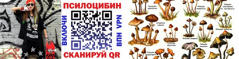 Псилоцибиновые грибы прущие грибы Славянск-на-Кубани